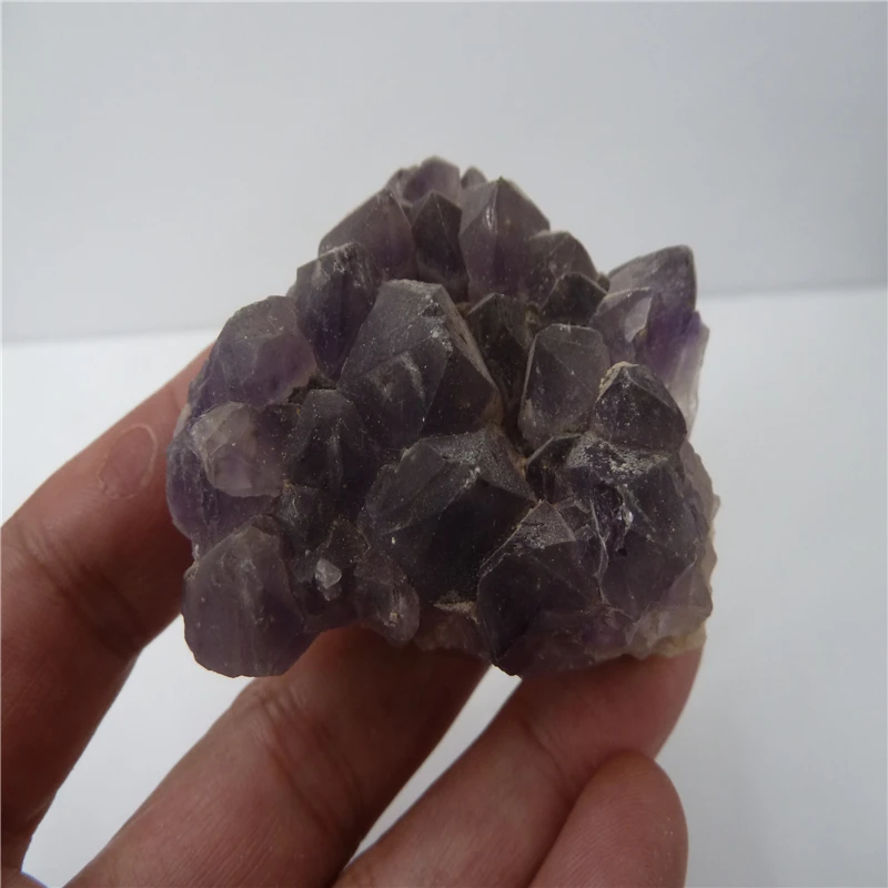 P1500450