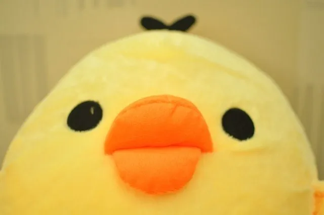 aeProduct.getSubject()