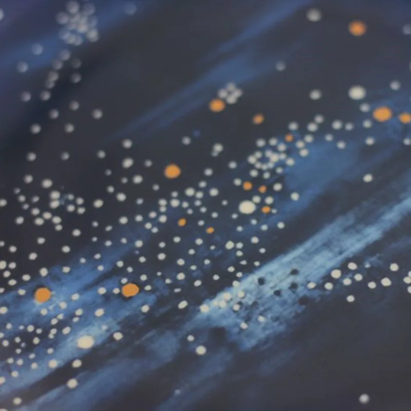Starry Sky Dinner Plates (1)