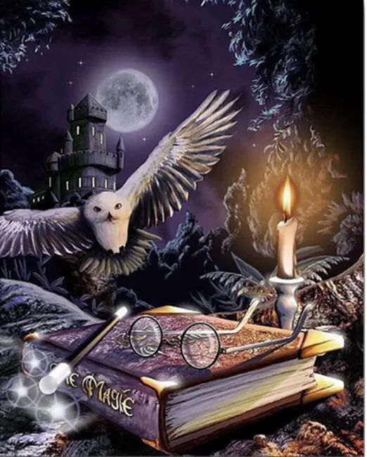 

Harry Potter 5D Diy Diamond painting cross stitch Owl animal Diamond embroidery Magic book Full round Dimond mosaic moon castle
