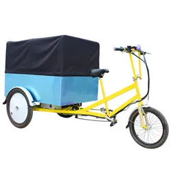 cargo trike-1