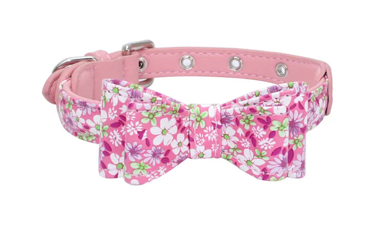 dog collar (10)