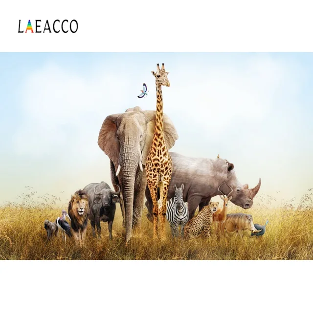 Laeacco Jungle Safari Green Grassland Animal Baby Birthday Party Blue Sky Photo Backdrop Photo Background Photocall Photo Studio