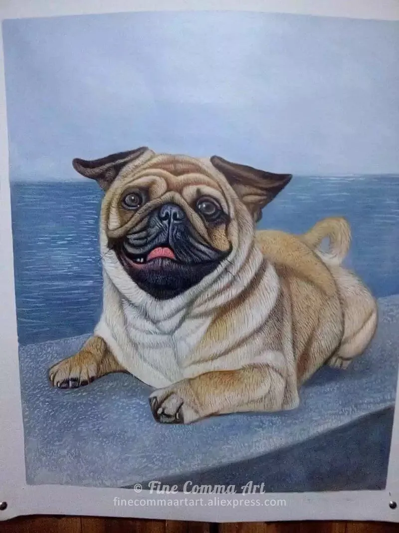 Dog_10