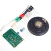 Cicada Sound Analog Circuit Suite Multivibrator DIY Kits High and Low Frequency Music Signal Simulation Cicada Voice Electronic ► Photo 3/6