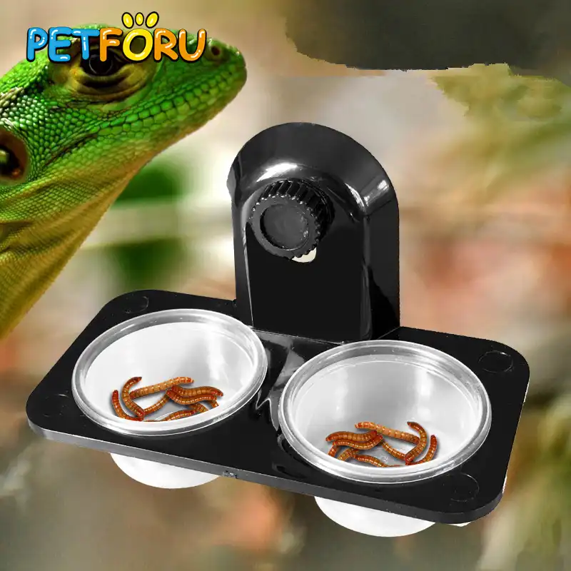 Petforu Reptile Feeder Single Double Feeding Bowl Food Water