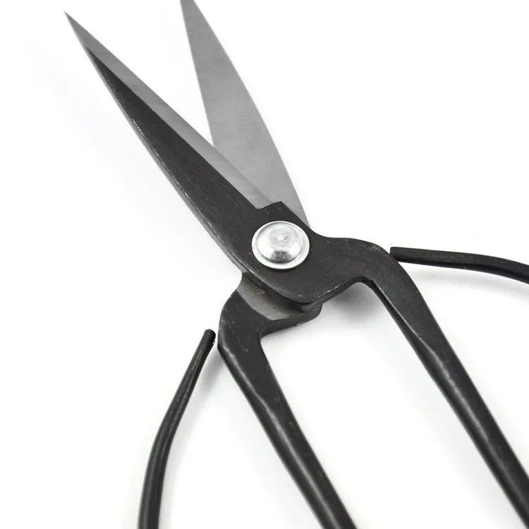 bonsai scissors