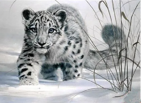 Diamond mosaic full gear Diamond embroidery sale Mosaic rhinestones 5d picture Diamond Painting Animals Diamond embroidery Tiger
