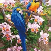 Высокое качество, красивые цветы, попугай, печать, сделай сам, Цифровая живопись маслом по номерам, ручная роспись, картина маслом 40x50 см, без рамки