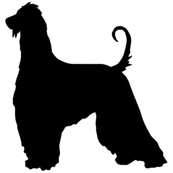 

13.6*14.2CM Afghan Hound Dog Animal Window Glass Decorative Stickers Decals Car Styling Accessories C6-0112