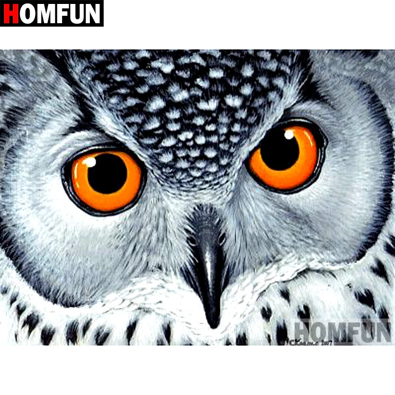 A09237           Animal owl