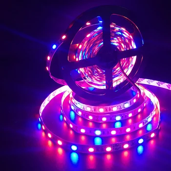 

LED Plant Light 5M DC12V SMD 5050 Flexible LED Grow Strip Light for Aquarium Greenhouse Hydroponics Plant Vegetable