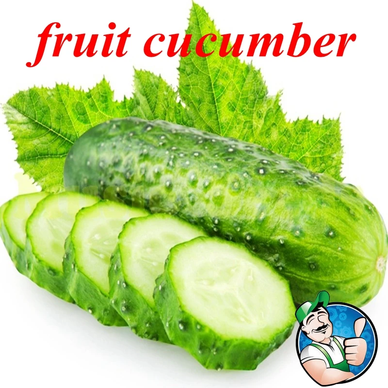 300pcs hot sale CUCUMBER seeds CHINESE MINI NO GMO vegetable seeds