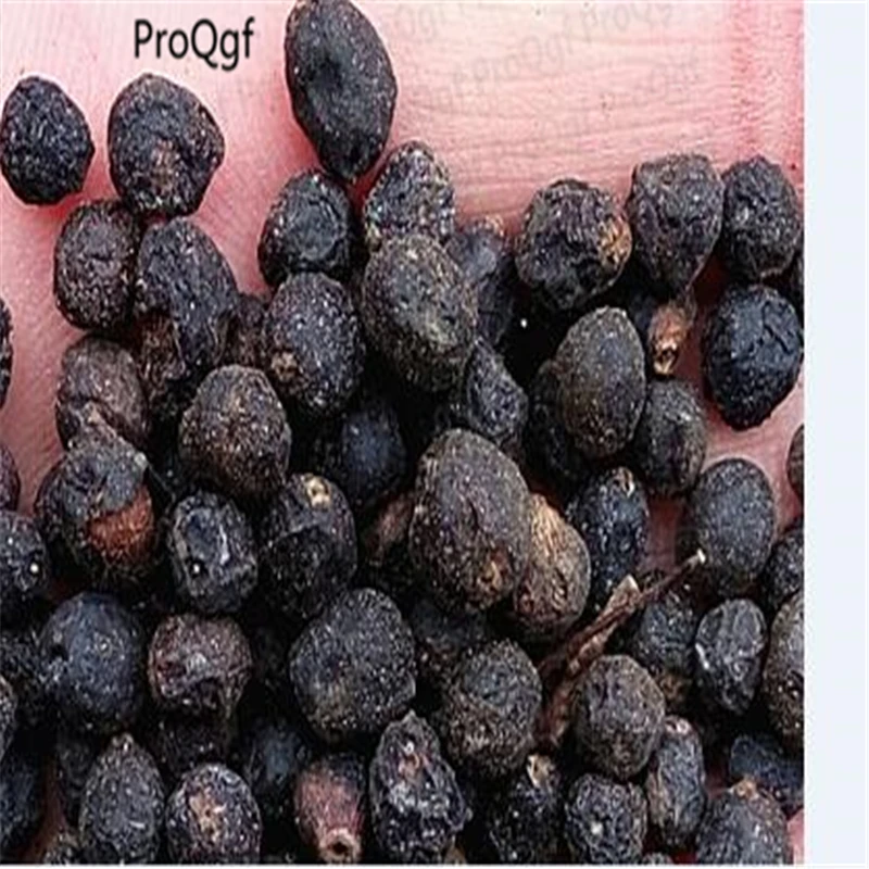 

1000Pcs A Set Aquilariaa Sinensis chenxiang