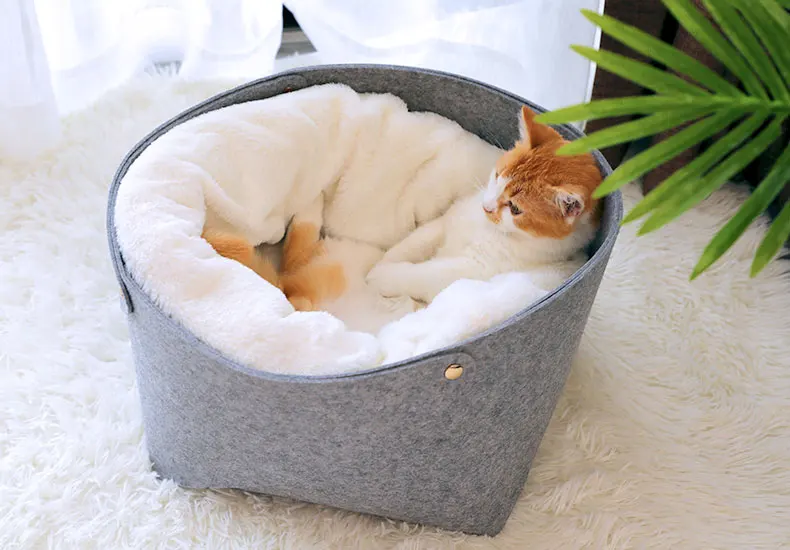 cat bed sofa