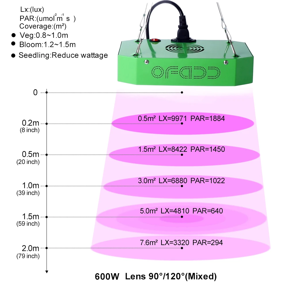600W002