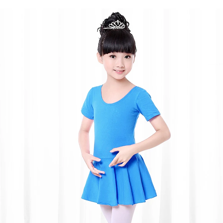 Girls Ballet Dance Dress  (3)