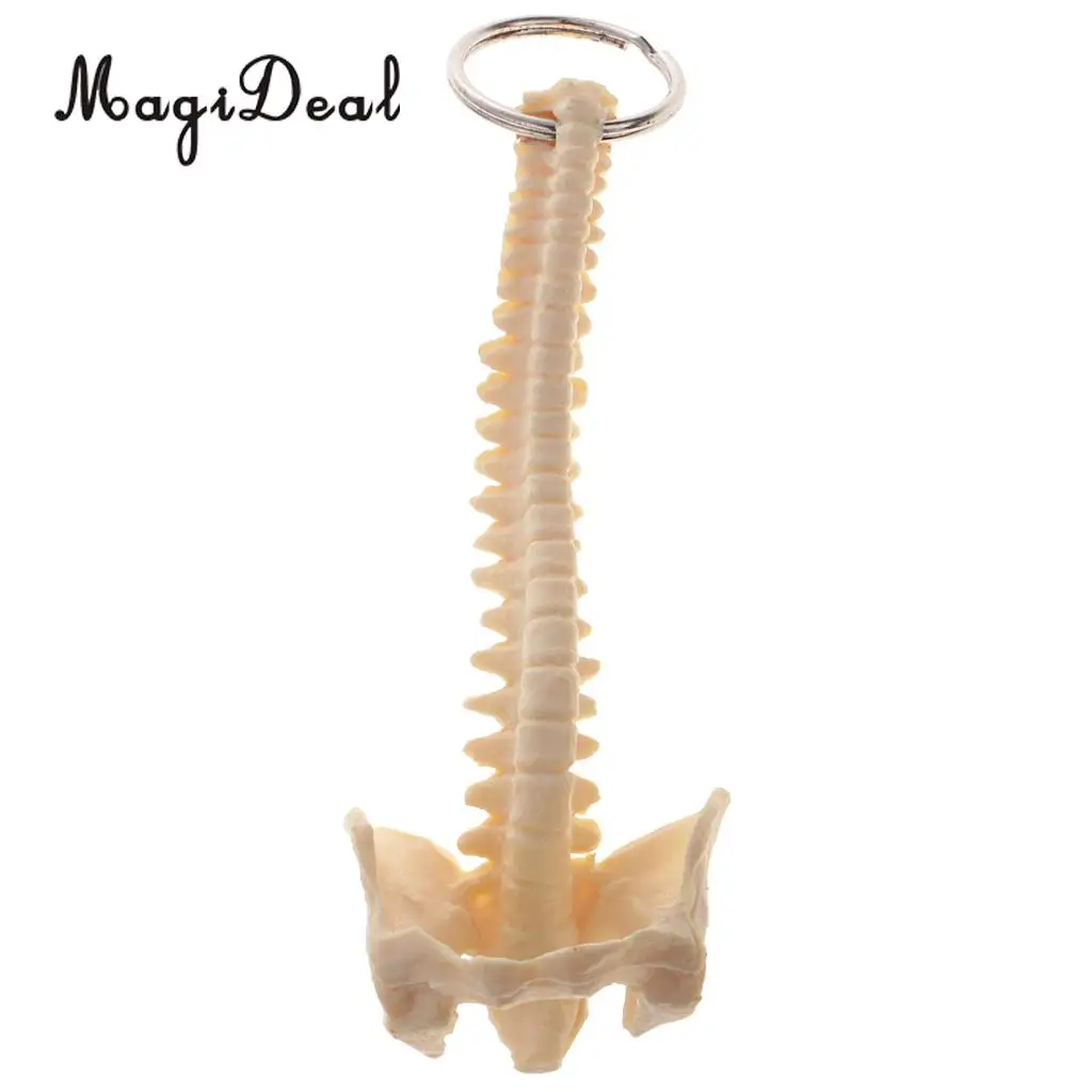 MagiDeal 1Pc Mini PVC Material Handcrafted Human Spine Skeleton Model Keychain for School Teaching Aid Tool Novelty Gift Beige