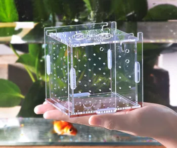 

Small baby fish shrimp hatchery isolate protect separately box arcylic hang on sucker fix 2 in 1 guppy betta aquarium fish tank