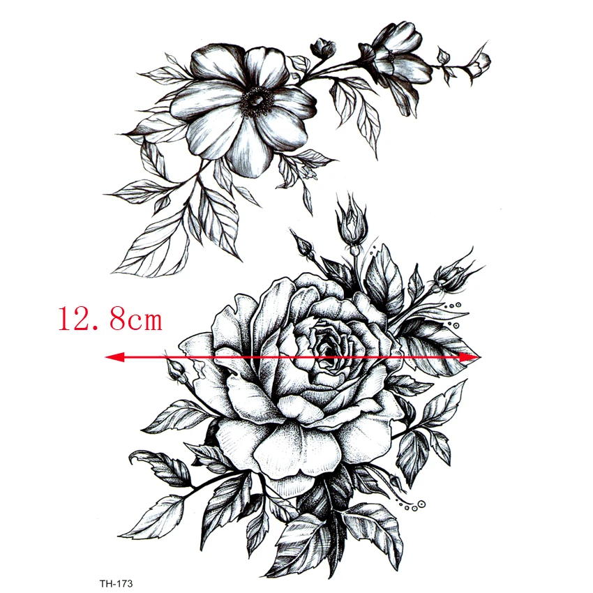 TH173-1