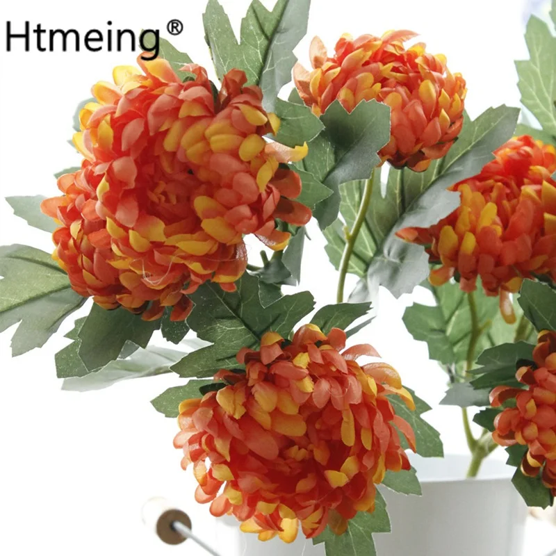 orange (6)