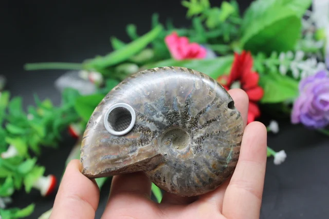 Best Offers 141 grams of natural quartz crystal conch fossil smoking pipe to heal Best Offers 141 grams of natural quartz crystal conch fossil smoking pipe to heal