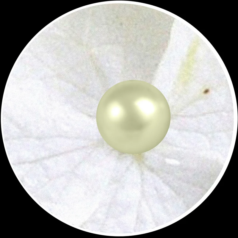 Modern Abstract White Pearl Jewelry Flowers 3D Stereo Mural Wallpaper Living Room Bedroom Backdrop Art Wall Papers For Walls 3 D Modern Abstract White Pearl Jewelry Flowers 3D Stereo Mural Wallpaper Living Room Bedroom Backdrop Art Wall Papers For Walls 3 D