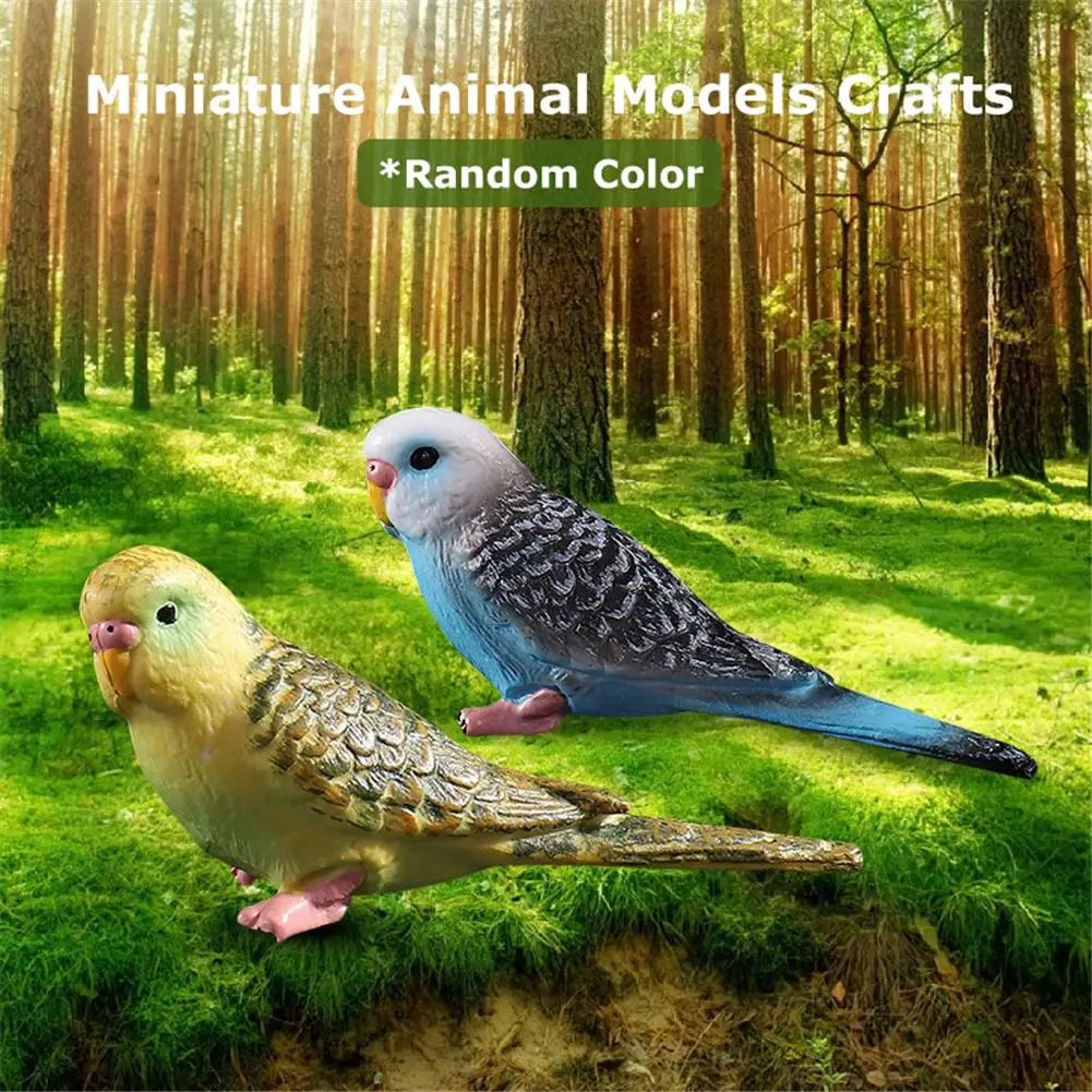 Миниатюрные модели животных для сада, имитирующие лес, попугай, статуя птицы, пластиковое украшение для рукоделия, Случайная