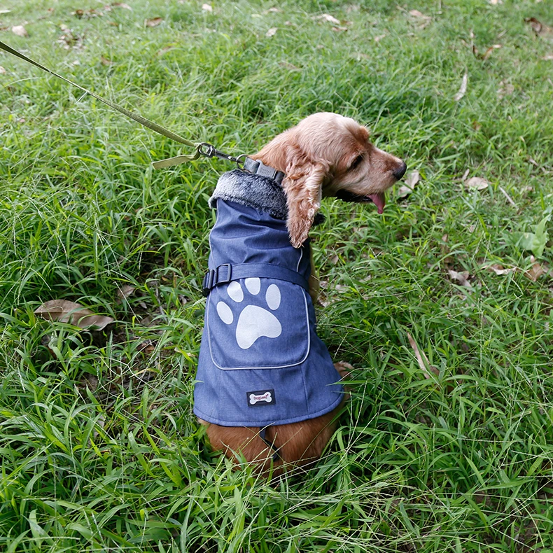 Dog Jacket Waterproof  (20)