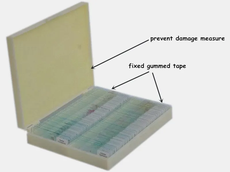 plastic prepared slides box