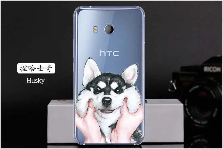 7778967420_2032621672