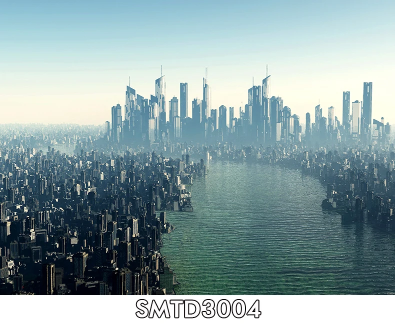 SMTD3004