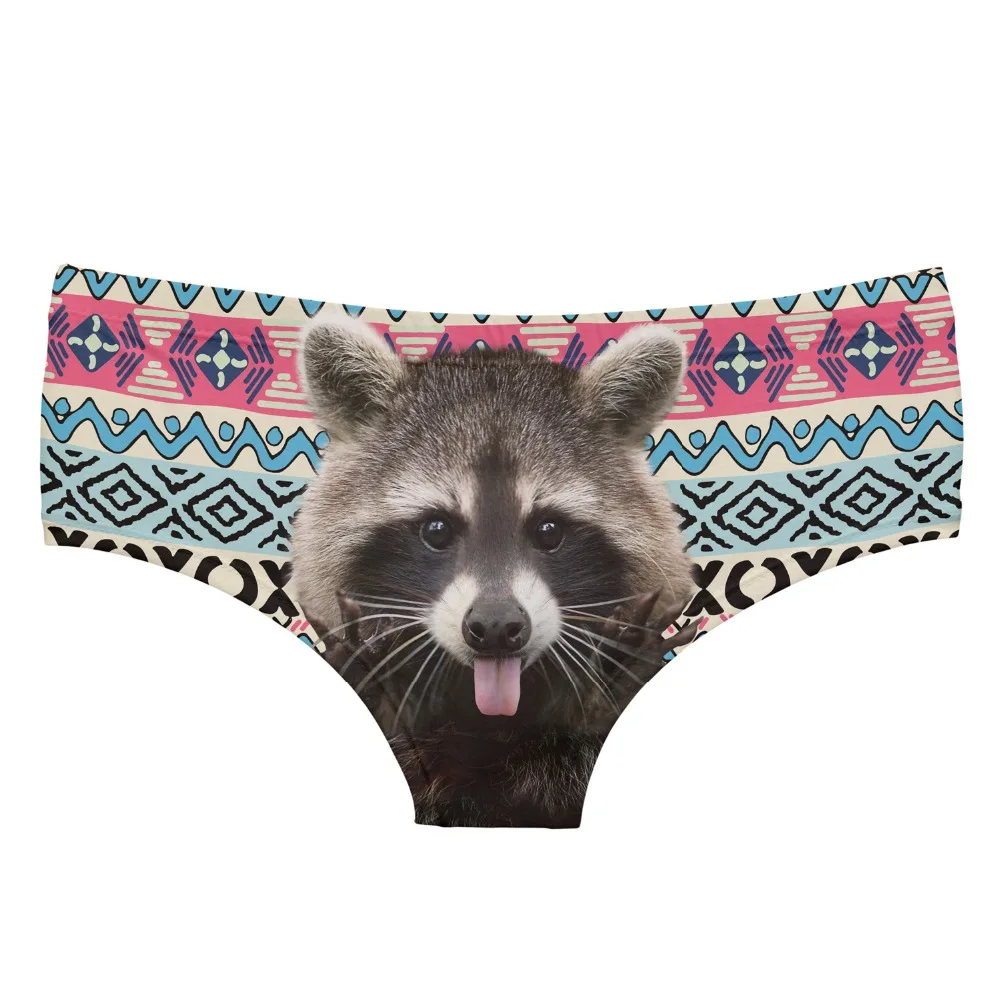 35006 racoon aztec (4)