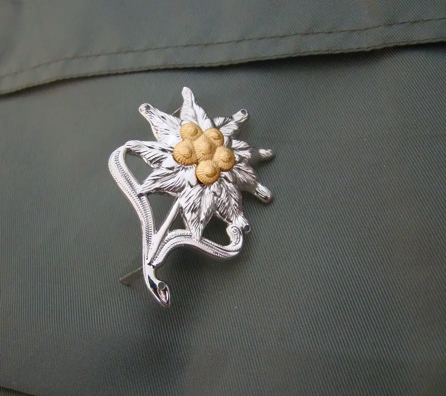 PAIR OF WW2 WWII German Hat Badge Edelweiss Insignia-World military Store
