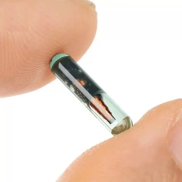 

10pcs/lot 2*12 MM FDX-B Glass RFID Animal Microchip 134.2KHz Animal Glass Tag Implanted Rfid Animal Microchip