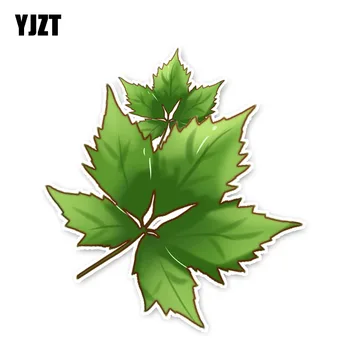 

YJZT 13*11.9CM Interesting Plant Green Maple Leaf Car Stickers Accessories 11A1648
