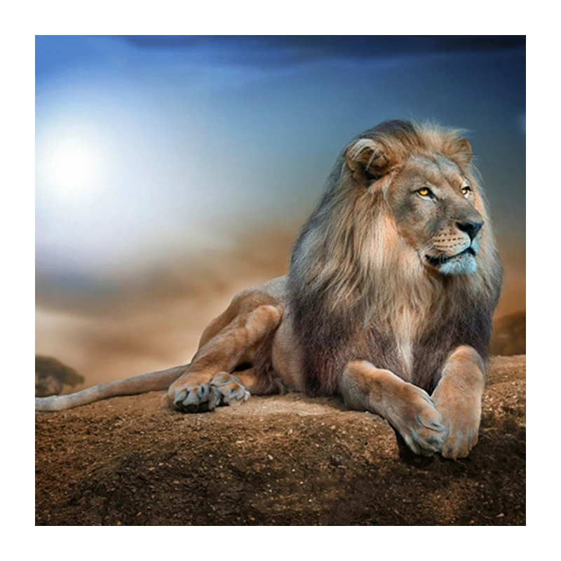 Full Square Diamond 5D DIY Diamond Painting 3d Embroidery Cross Stitch Rhinestone Mosaic Painting Home Decor lion