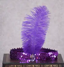 

Sequin Ostrich Resin Gem Feather Headband Costume Fancy Dress Dancing Party Hairband Cosplay Indians Props party favors colorful