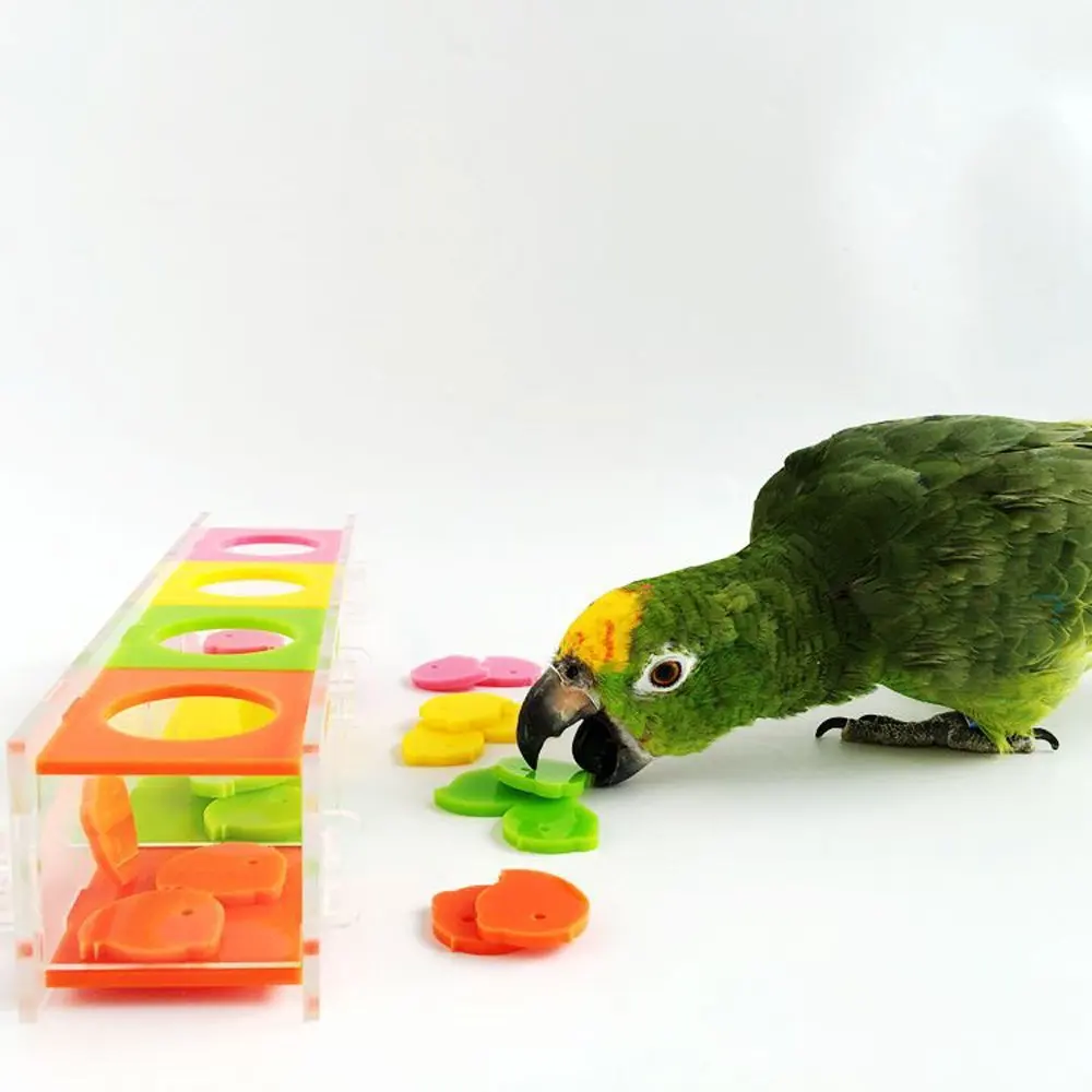 1 шт. игрушка-головоломка с попугаем обучающая продукция головоломка с попугаем обучающая интеллектуальная развивающая игрушка цветная разделительная Монета коробка