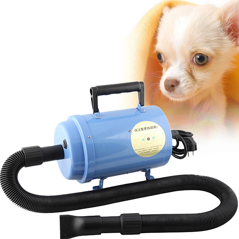 220V/2200W Professional Pet Hair Dryer Dog/Cat Grooming Hair Dryer