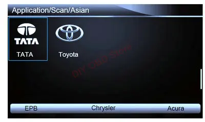 Asian 02_1