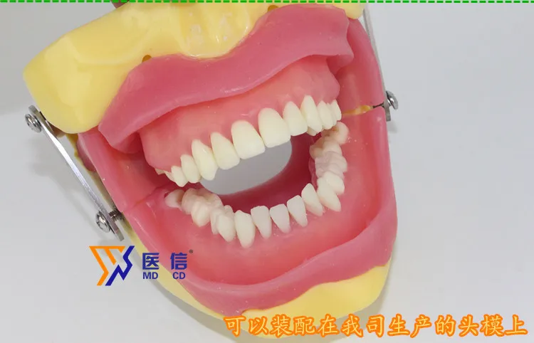//img.alicdn.com/imgextra/i2/466366108/TB2xrjFtpXXXXXwXpXXXXXXXXXX_!!466366108.jpg