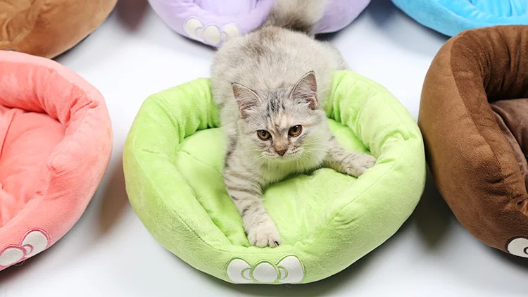 4910963006_1603477161