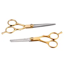 Professional Hairdressing Cutting Thinning Stainless Steel Scissors 2PCs Set Gold