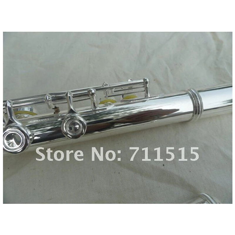 FL-511SE 17 C مفتاح ثقوب فتح الجدرانيات C الناي بيكولو الناي آلات موسيقية مع حقيبة FL-511SE 17 C مفتاح ثقوب فتح الجدرانيات C الناي بيكولو الناي آلات موسيقية مع حقيبة