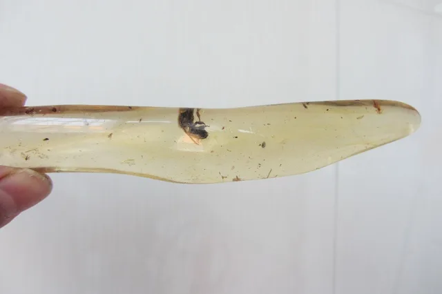 Best Offers 22.5g Nice Amber Authentic Madagascar Copal Polished Fossil with Insects