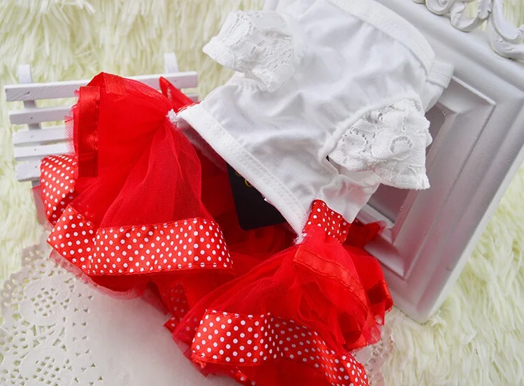 2016_New_Pet_dress_Skirt_Clothes_Puppy_Dog_Summer_Tutu_Princess_Dress_Dancing_costume_pet_products_3