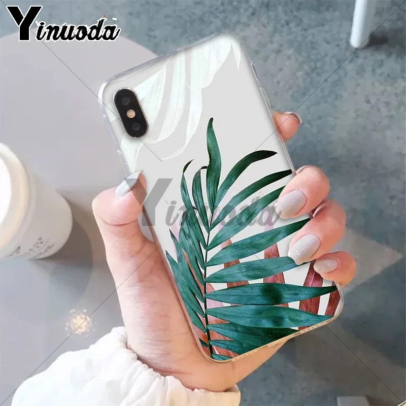 Tropical Plants Cactus Banana Leaves