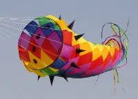 НОВЫЙ 5,4 м всепогодный нейлон powered windsock/Наружная игрушка воздушный змей