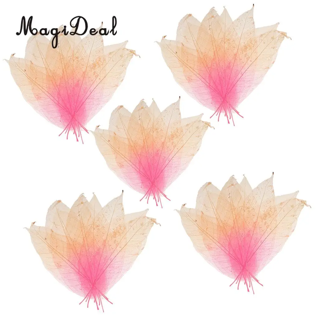 MagiDeal Beautiful 50Pcs Natural Magnolia Skeleton Leaf Leaves DIY Crafts for Scrapbooking Flower Making Lampshades Wall Decor